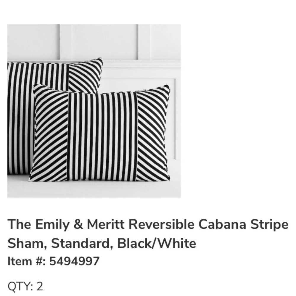 Pottery Barn Teen Standard Pillow Shams